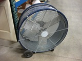 IMG_1337 IMG_1337