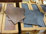 IMG_1350 IMG_1350